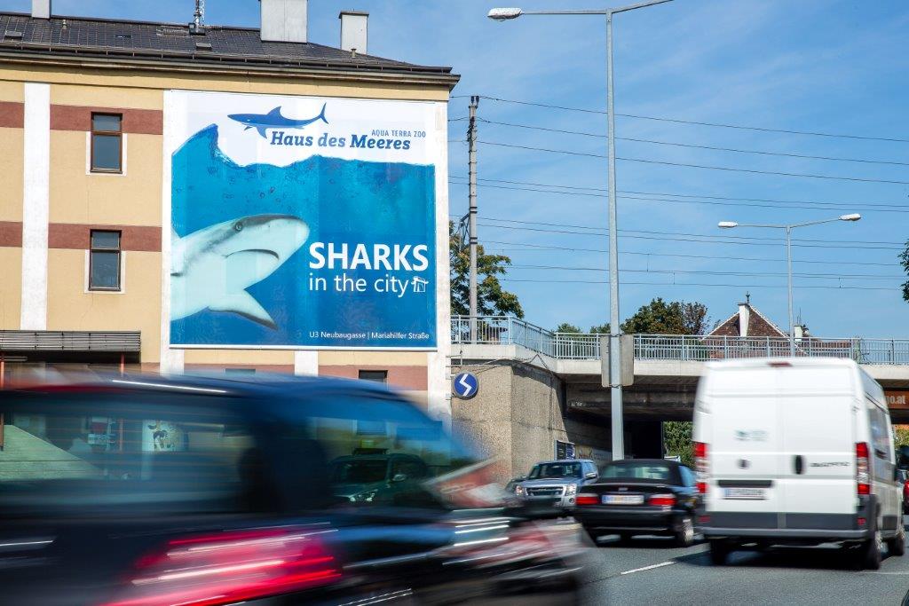 Haus des Meeres Haus des Meeres