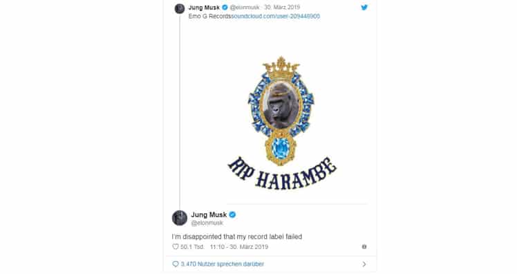 © Elon Musk / Twitter