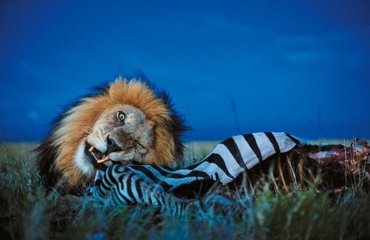 190620_Nichols6_CMJN