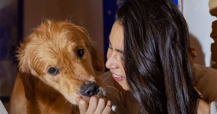 Die neue Kampagne "Made Possible by Hosts" © Airbnb