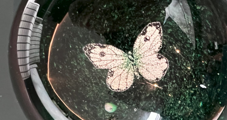 the-amauris-vienna_C_leadersnet_2023