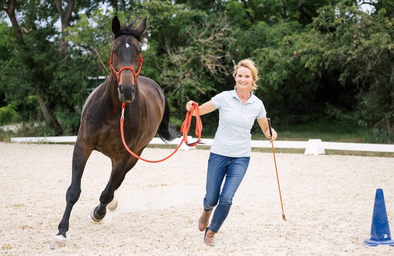 Elisabeth Proksch beim Führungstraining mit Pferden