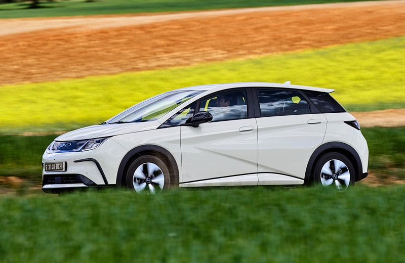 BYD Dolphin