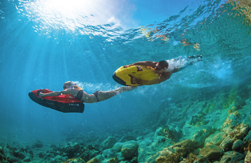 Scenic_03_Scenic_2024