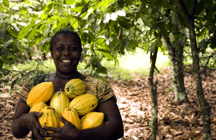 Fairtrade Produkte unterstützen die lokale Wirtschaft © Pixabay
