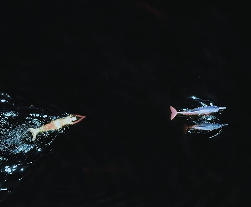 Emilija Škarnulytė