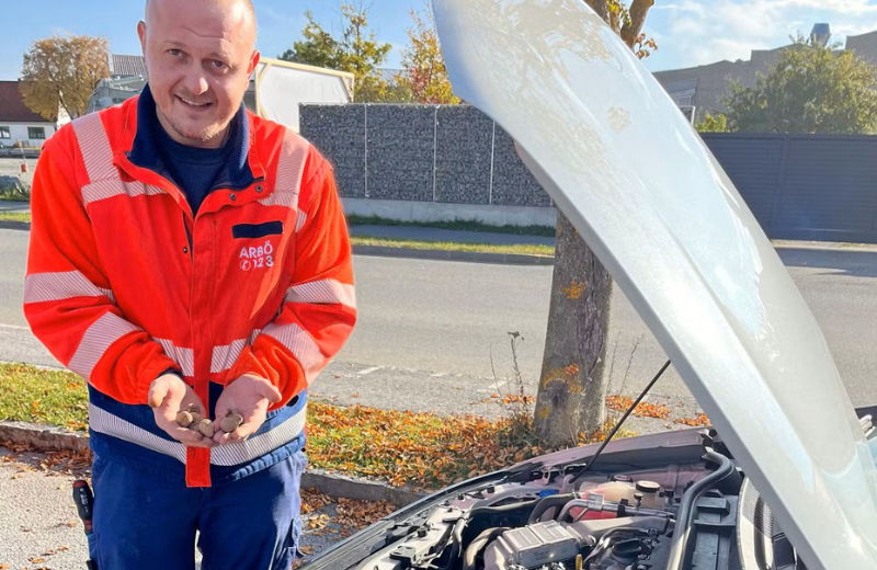 Tier-versteckte-N-sse-in-Motorraum-und-sorgte-f-r-Autopanne
