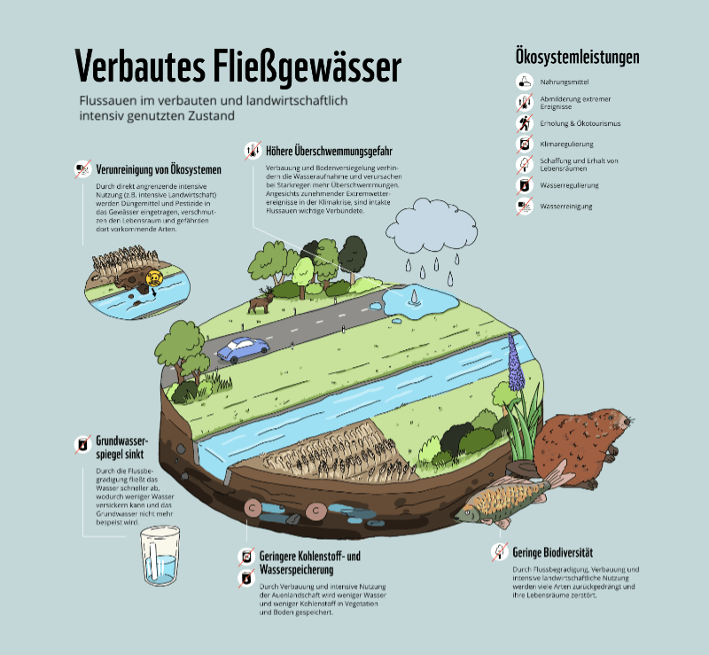 © Petra Holländer/ wwf.at