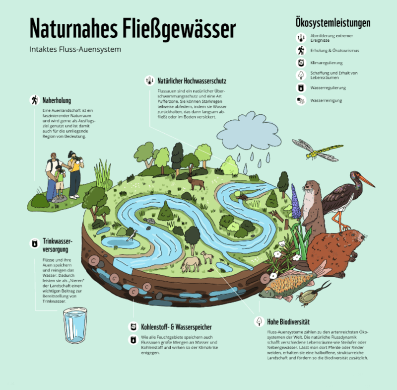 © Petra Holländer/ wwf.at