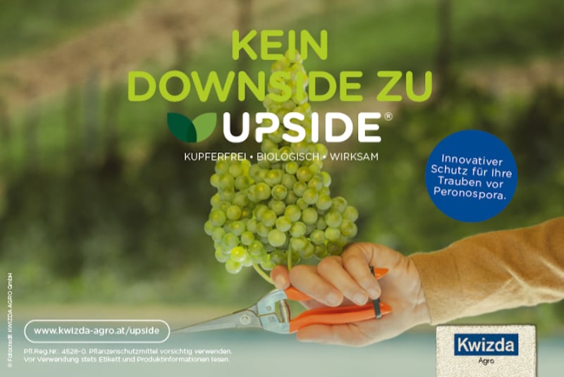 Kampagnen Sujet Kwizda