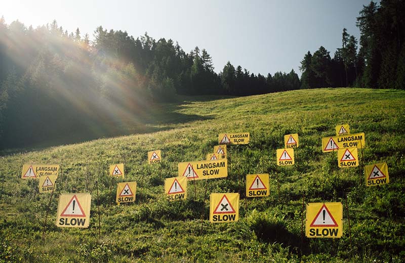 sommer.frische.kunst