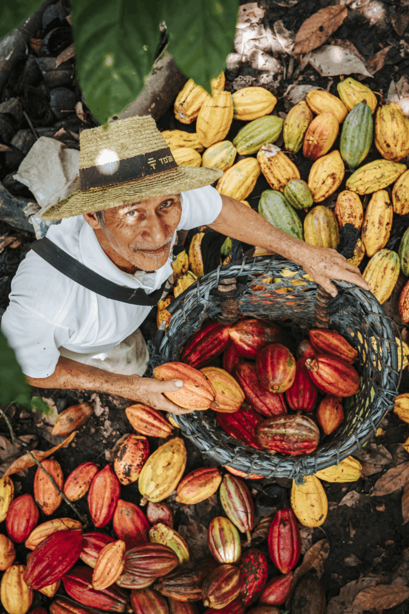 © Original Beans, Toak