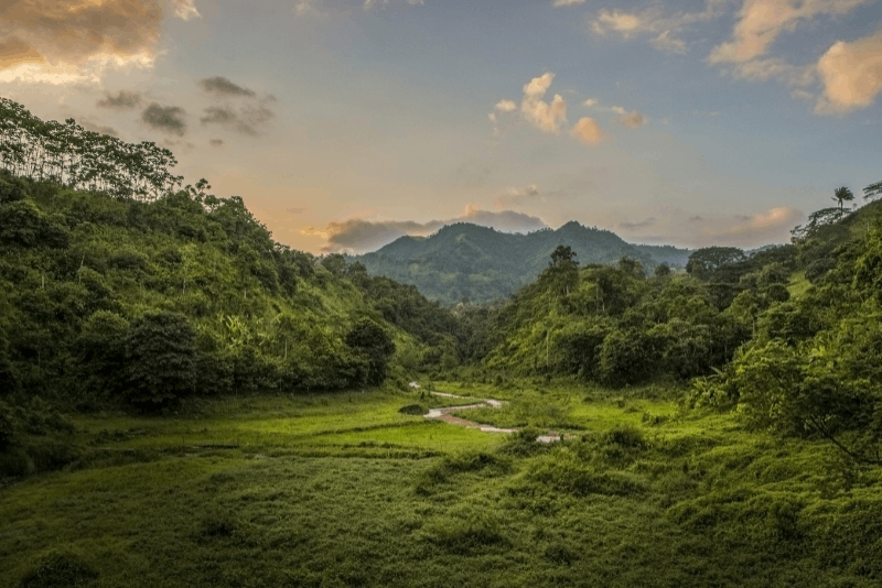 © Original Beans, Toak