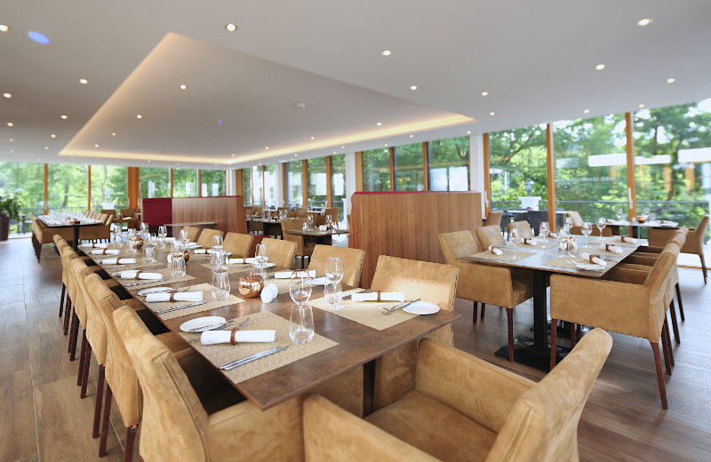 Schlosspark-Mauerbach_02_C_Streif-Photography_2025