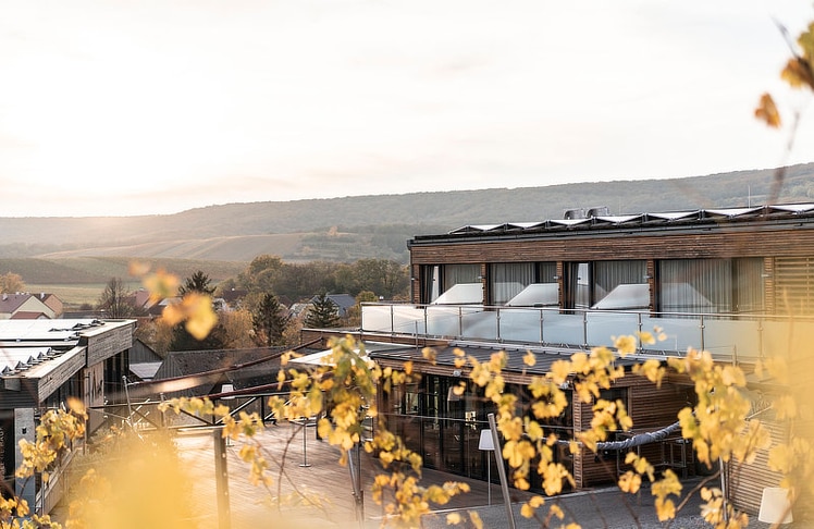 Das Weindomizil Hagn in Mailberg lädt im Herbst zu Wanderungen durch die Weinviertler Weingärten und genussvollen Auszeiten ein.