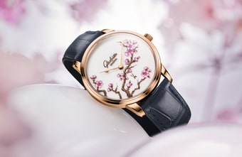"Cherry Blossom" – Glashütte und Meissen verewigen die Kirschblüte in einer Uhr