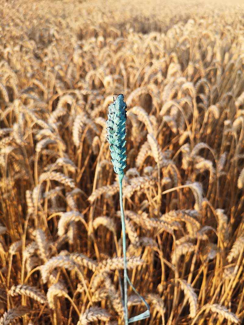 Klima Biennale Wien 2026