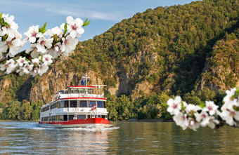 Marillenblüte bringt die DDSG Blue Danube wieder in Fahrt