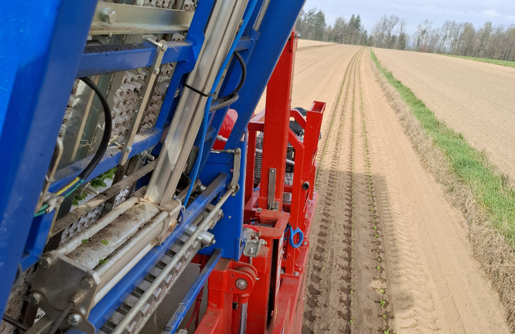 Für einen teilautonomen Feldroboter werden die exakten Geodaten der Feldstücke für die Pflanzung der Schlüsselblumen verwendet.