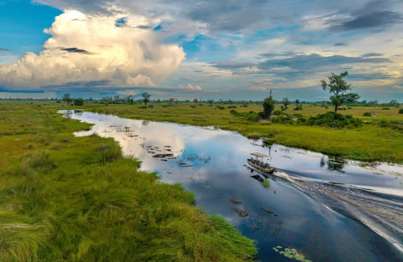 Natural-Selection_01_C_Natural-Selection_2026