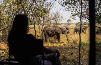 Zurück zur Einfachheit – ein besonders intensives Safari-Erlebnis