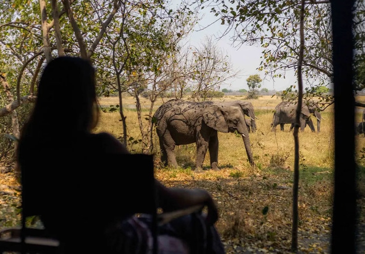 Zurück zur Einfachheit – ein besonders intensives Safari-Erlebnis