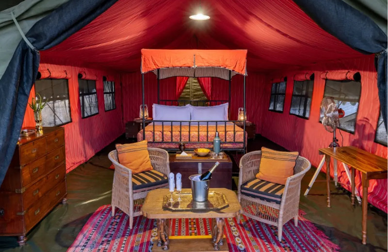 Natural-Selection_06_C_Natural-Selection_2026