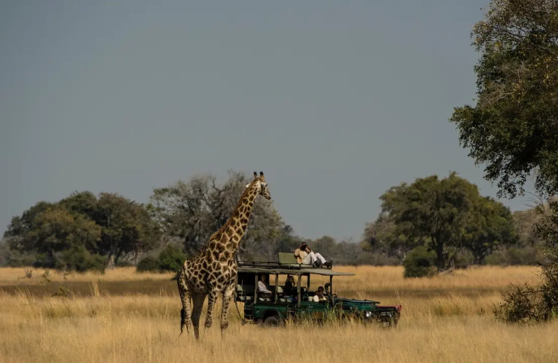 Natural-Selection_07_C_Natural-Selection_2026