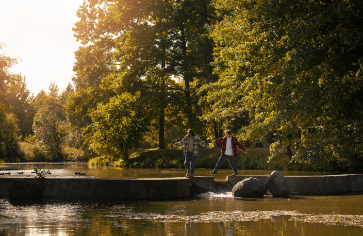 Ein aktuelles Ranking zeigt, wo in Europa die schönsten Gärten und Parks beheimatet sind (Symbolbild). 