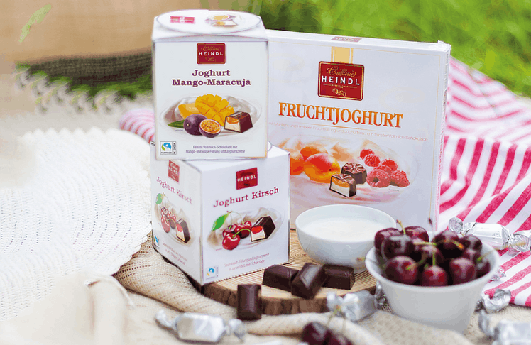 Joghurt-Pralinen in Würfelpackung und die Bonbonniere "Fruchjoghurt".