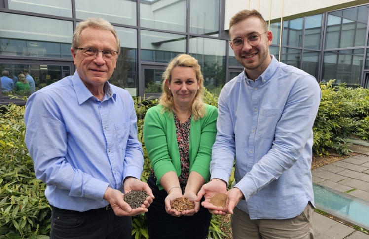 V.l.n.r.: Franz Gumpinger, Martina Rössl und Paul Schwaigerlehner © Brantner green solutions