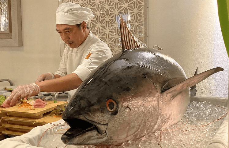 Sashimi vom frischen Tuna direkt von der Insel.