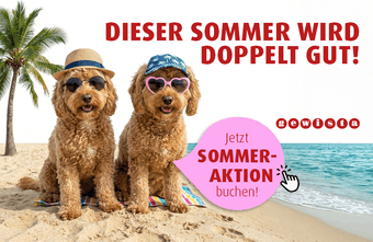 Sommeraktion 1+1: Mehr Sommer und mehr Sichtbarkeit für Ihre Marke