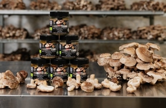 Start-up Hut & Stiel launcht Shiitake-Pesto