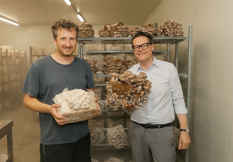 Klimastadtrat Czernohorszky besuchte Wiener Pilz-Pioniere