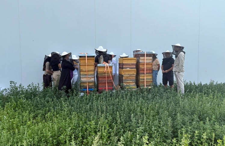 Das Kunsttrans-Team bei der gemeinsamen Ernte des eigenen Honigs. © kunsttrans