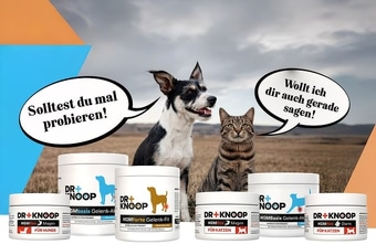 The Goodstuff nimmt Ergänzungsfuttermittel ins Sortiment auf