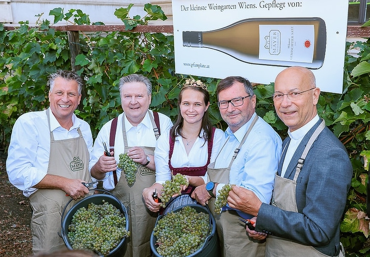 Michael Ludwig eröffnete Wiener Weinlese nach Rekordhitze