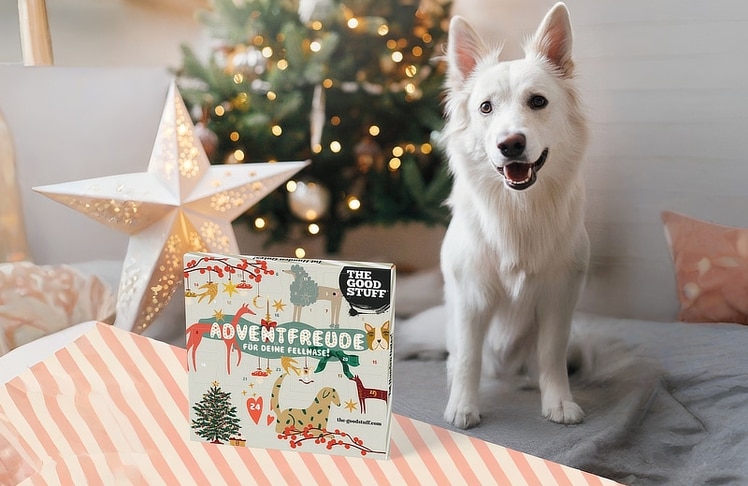 Im Adventskalender für Hunde sorgen vier unterschiedliche Goodies für tägliche Abwechslung.