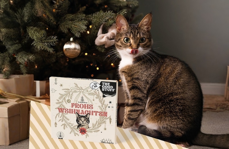 Auch Katzen kommen auf ihre Kosten. Hinter den 24 Türchen des Katzen-Adventskalenders warten drei ausgewählte Goodies.